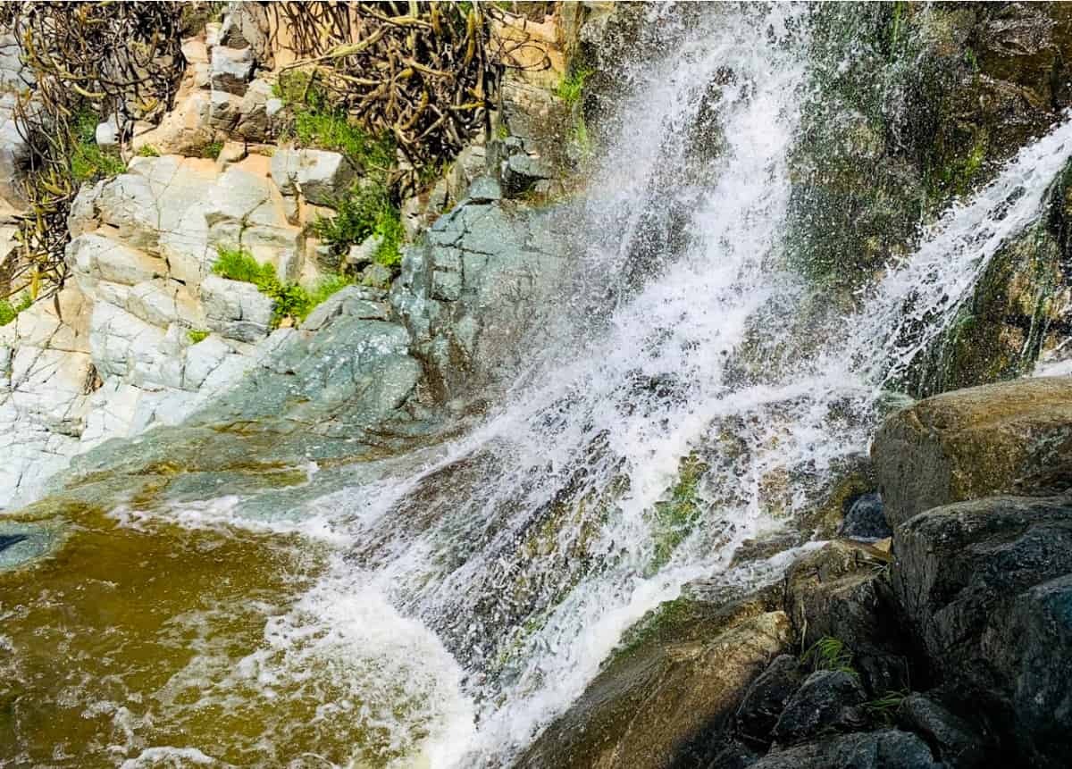 cascadas natura Tijuana